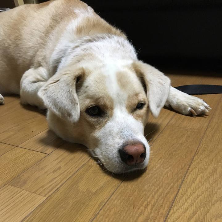 Dd0f888b 7fdb 4743 bc81 36300d2f0bf3 1534859234453