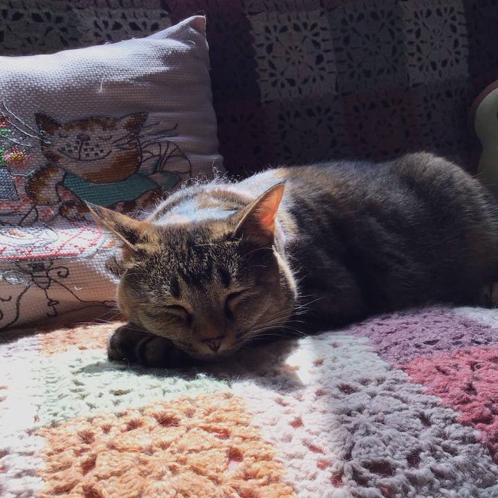 Dd0faab8 7610 44a4 9fdc 0d8f154a2d59 1722852544132