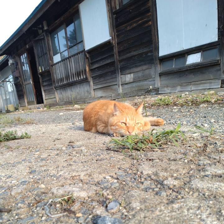 Dd0fae3e b83d 4f6f a982 30111f587023 1692484737869