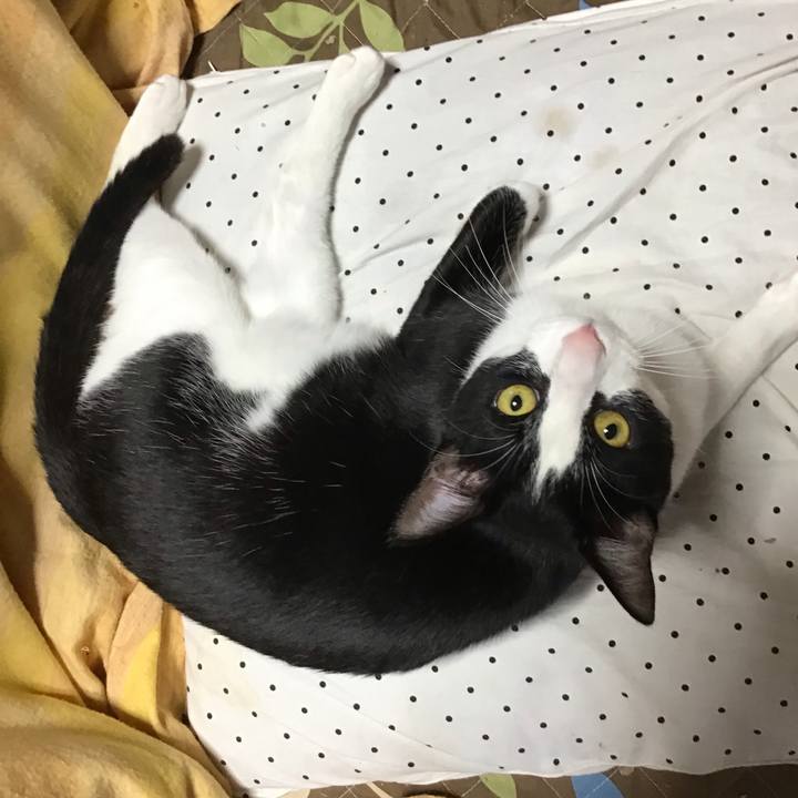 Dd0fce5d 0d66 4f1f 966e 1b1b3f6a5d1d 1653642540094