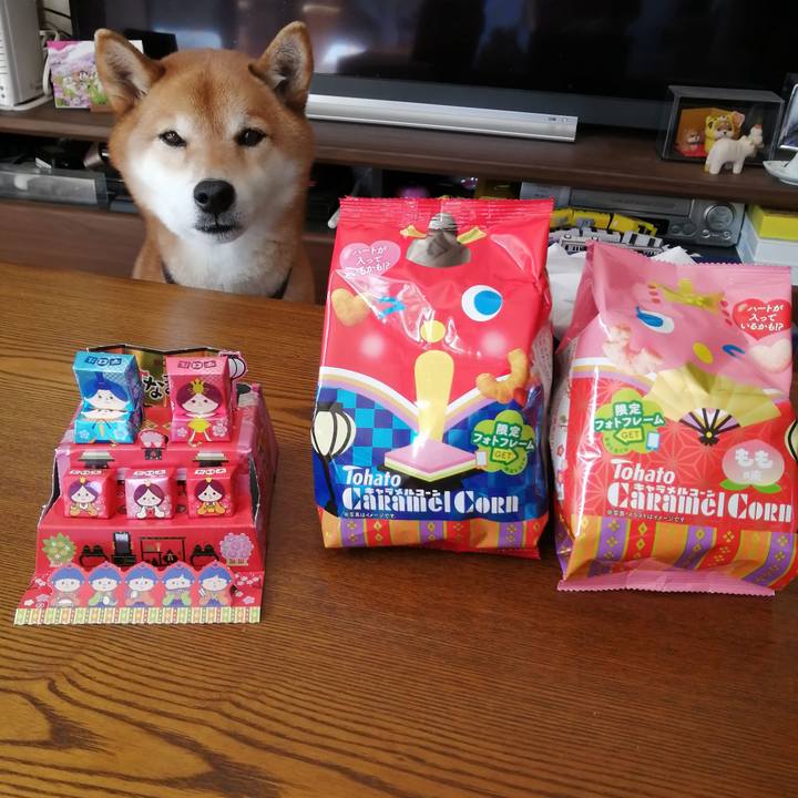 Dd0ff903 d160 4c08 982b 2f7dc6e84753 1646188972966