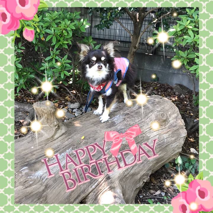 Dd101813 5522 4f55 b3ef 4c671580475f 1588644186693