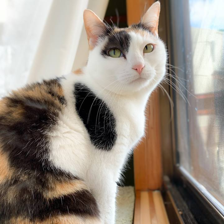 Dd10872a b098 4fb5 88d0 e0392e54fe3d 1583372907225