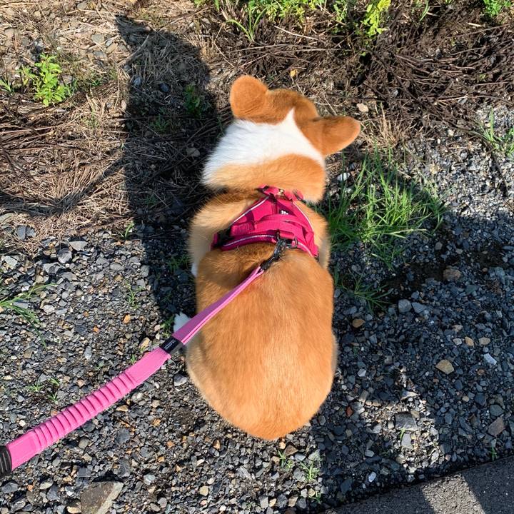 Dd108af2 967f 46c6 b32d 500579787519 1624669647576