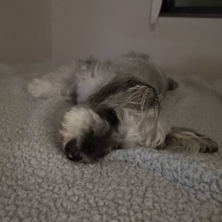 Dd10acb8 b46f 4dec adfe 4a571879bb7b 1755436008876