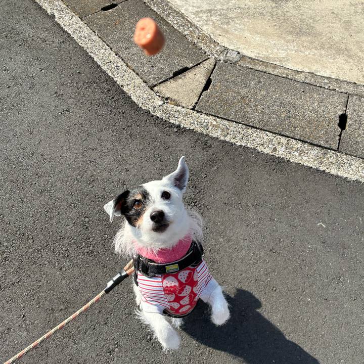 Dd10b3cb 3b17 46eb 94cf 24a662e609f4 1773187871386