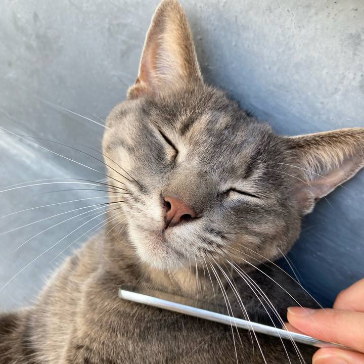 Dd10e619 e3f5 4a84 b2bd 0de909023ee6 1627001612867