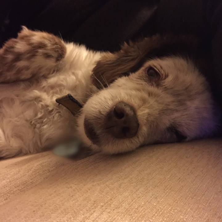 Dd1112b6 cfdd 4f2a a6b6 99bb0a0bad5e 1514574105137