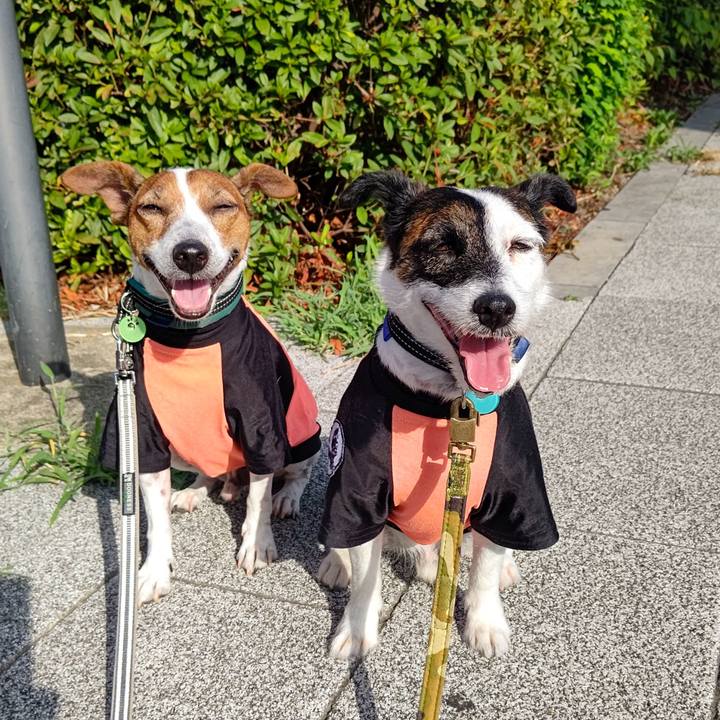 Dd116efd 852f 4e0b a2f9 18409ce0bd0d 1692398947080