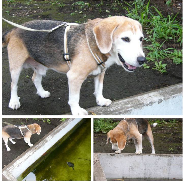 Dd117395 d53e 4781 a314 9d16ac5a6fb0 1653008497700