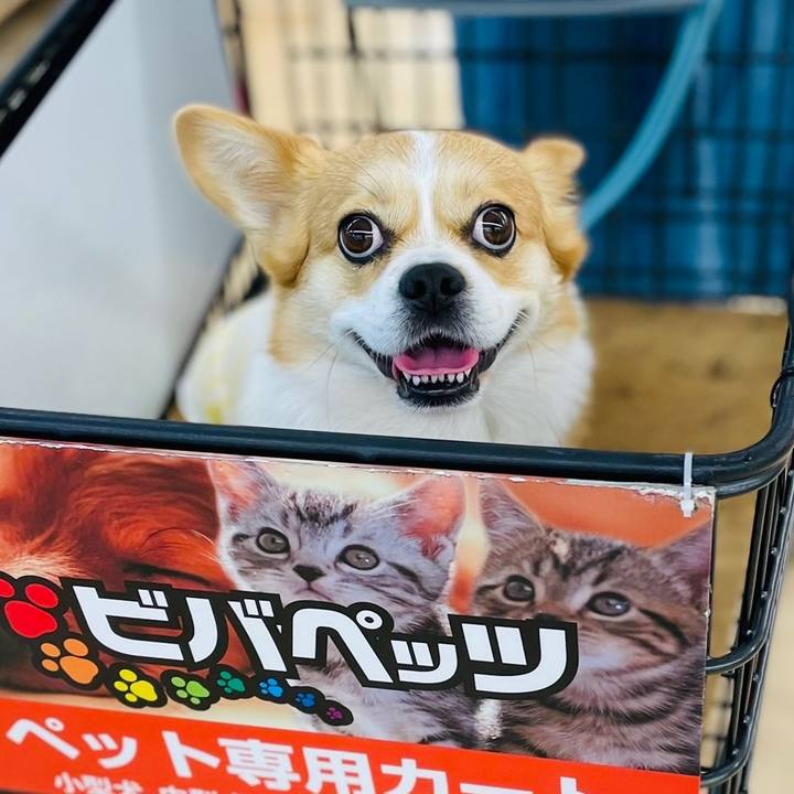 Dd117760 f8d3 4c39 af5b 6cc0a109cec3 1651143811944