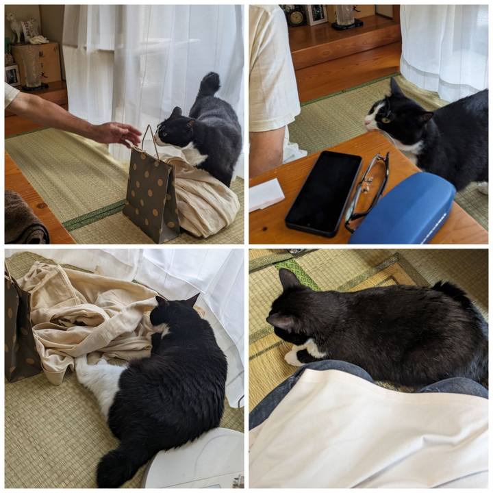 Dd1178c1 1af6 4dd6 86a9 4b127a4903e0 1687060641269