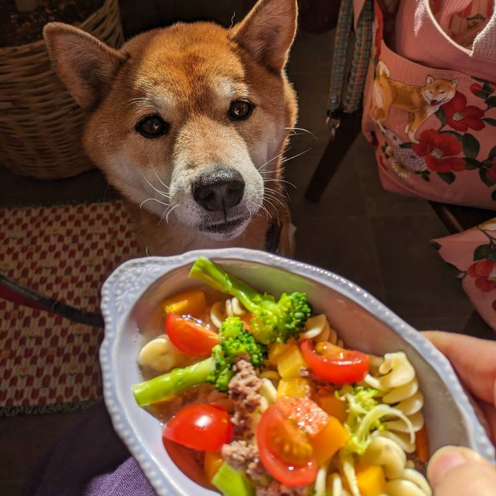 Dd1178cf 629c 45bd 8476 d6e632165d87 1703922277055