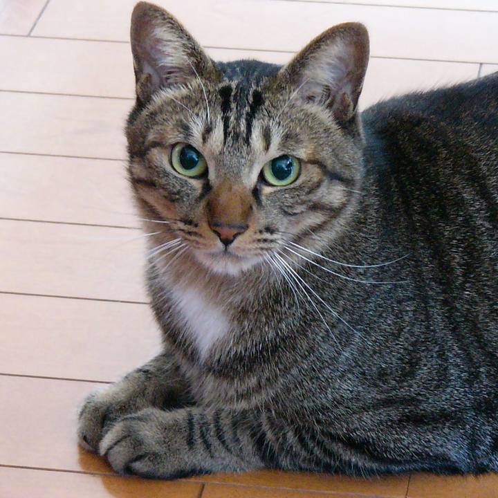 Dd1198dc 6221 41d9 89be 20e815c85482 1688262506971