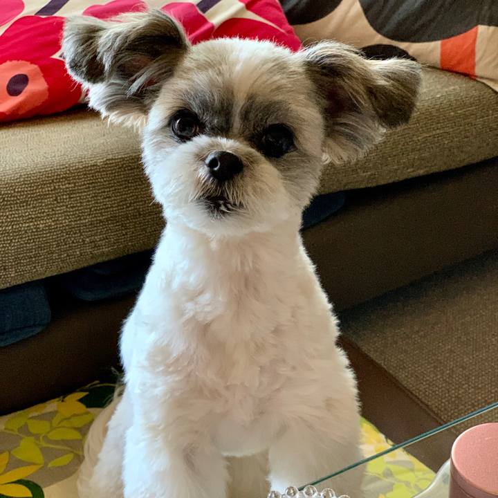 Dd119ce8 ba46 4173 b8f8 97f1ac9ef16e 1590717394606