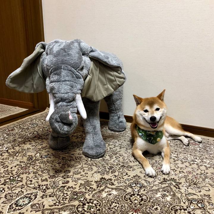 Dd12143a 5887 437e ac86 6ee670b71fe2 1535720677959