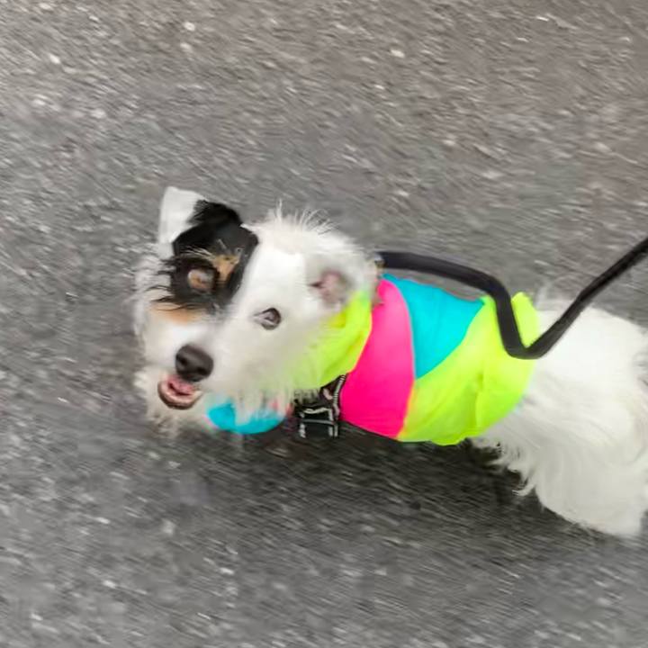 Dd1227ef 223e 4904 b87b cdccd75e1fdc 1655798511714