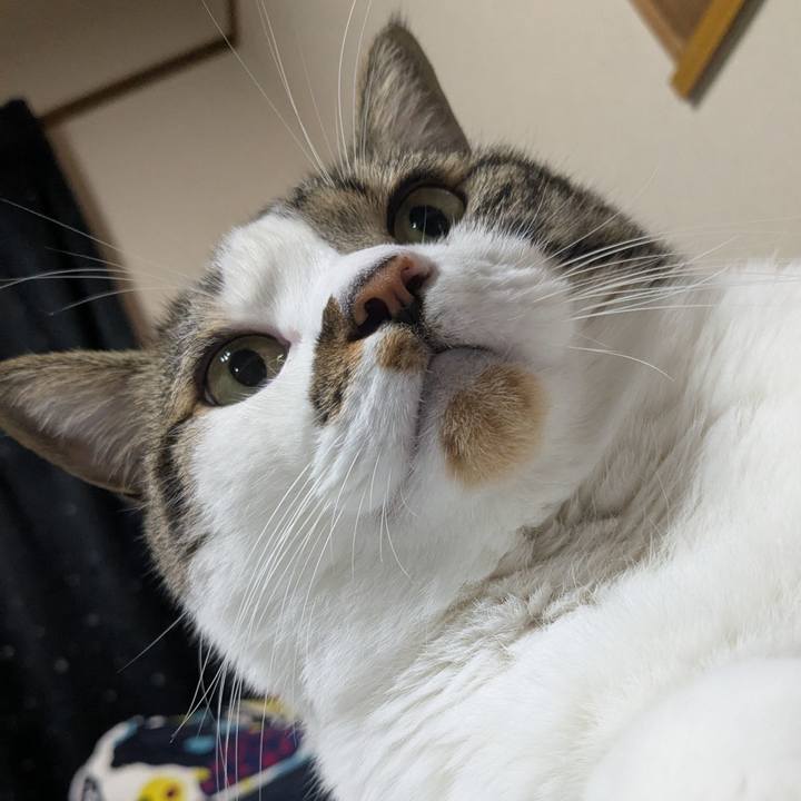 Dd1233e8 483f 4551 96b3 c0453c6c15f2 1754472741092