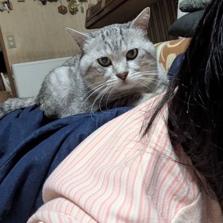 Dd124714 830b 424c 915d 123c897b52b3 1759592803506