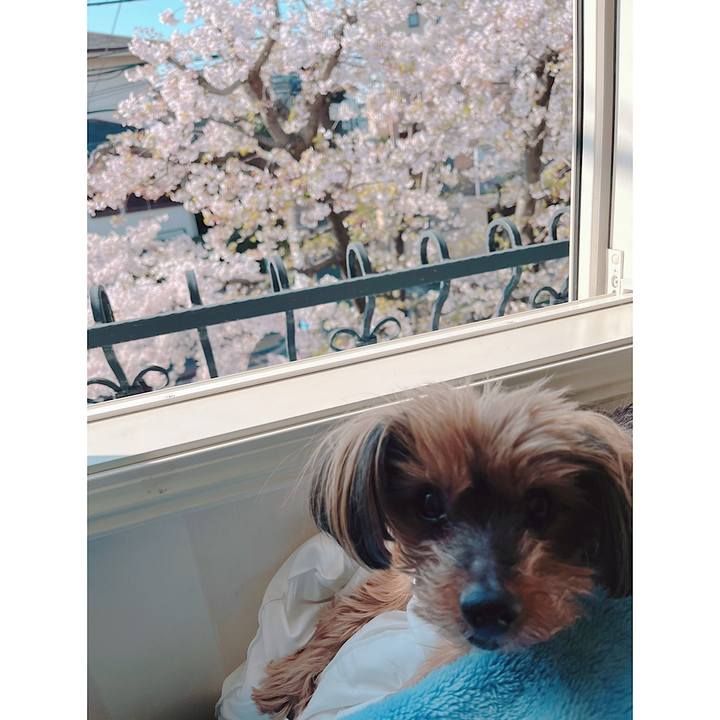 Dd1257a7 f01e 4b4e a03b 3e7c6ed49219 1680305030055