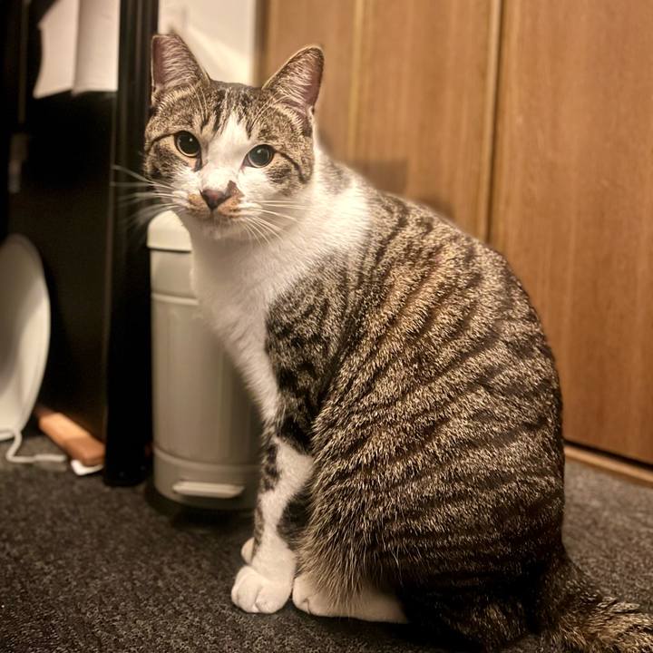 Dd125b1b 63d3 47ec aacb b058dcb32ac9 1765724402867