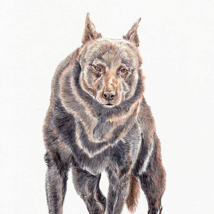 Dd128c08 27f6 4101 89ab da701bfc34f0 1700343959235