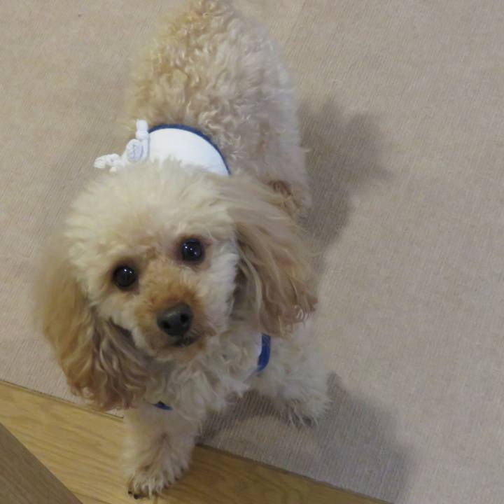 Dd12b52d 5db2 4f26 84f0 9f8086967c79 1550752873812