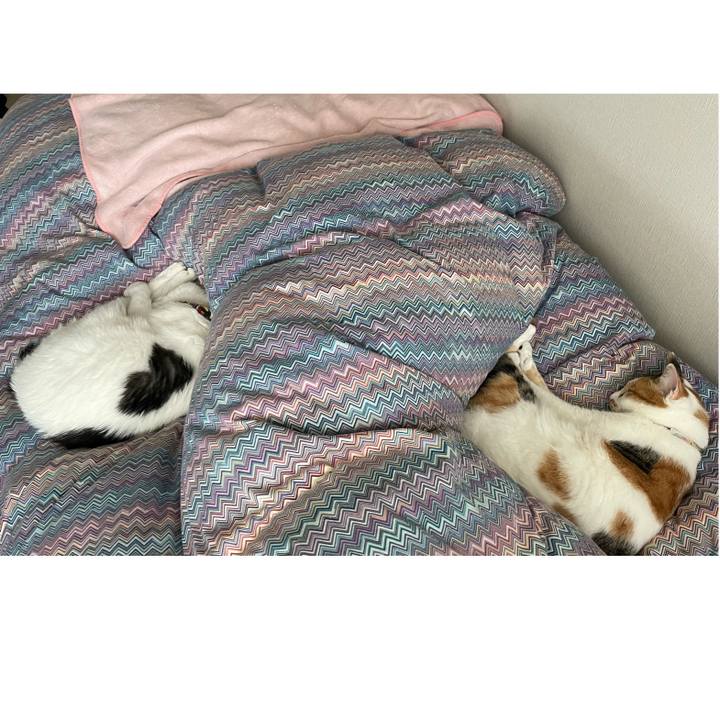 Dd12c94d 2ebb 4426 ac8b a4fd08bed065 1636247473315