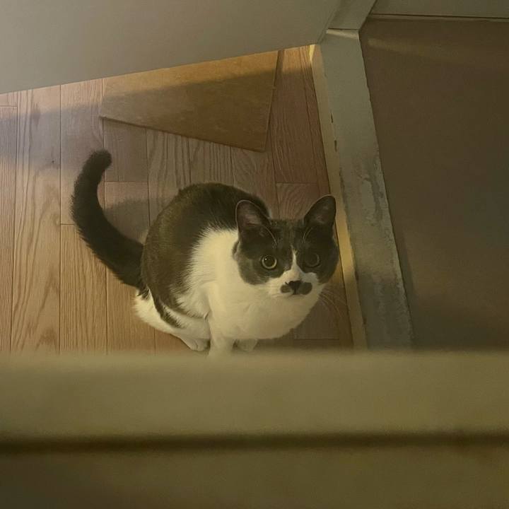 Dd12e751 ae53 467d bd26 1f7f238ae06b 1649228277545