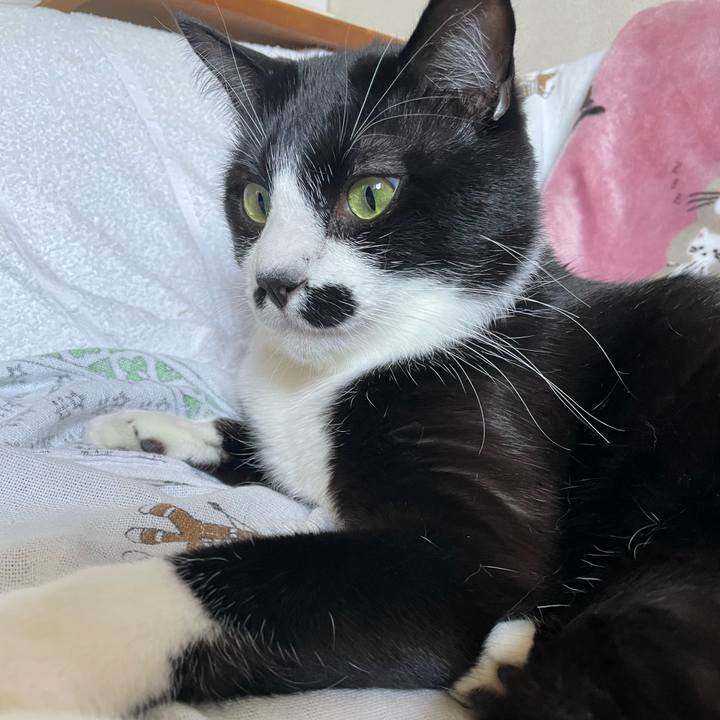 Dd12e75d aa92 4ada 8e4e f14090138e8a 1681706975511