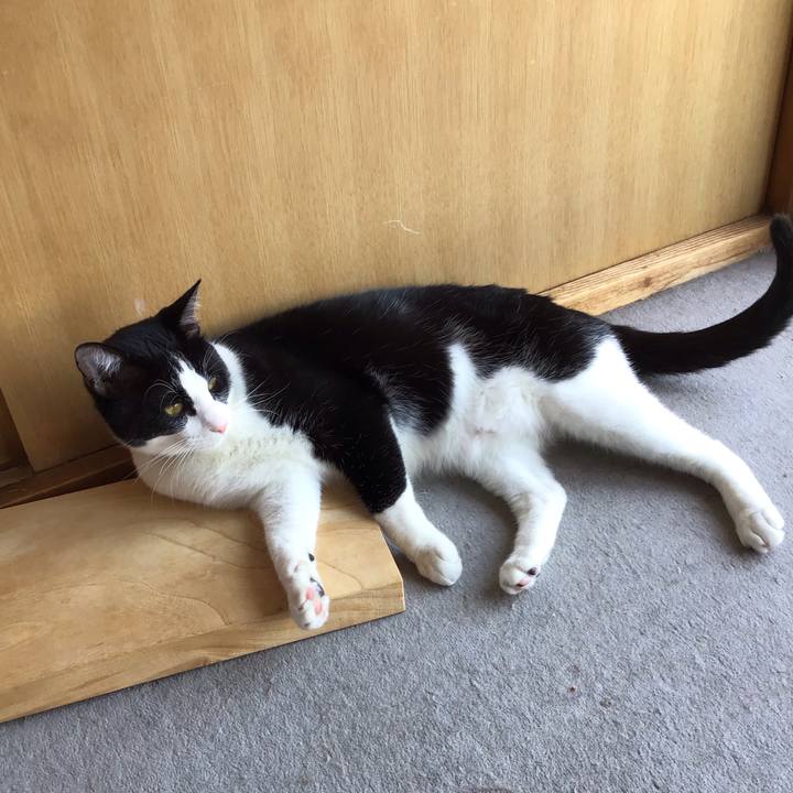 Dd12f126 44c9 4c87 859d b1b7f6828561 1653282881578