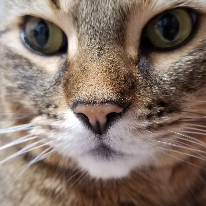 Dd1309e8 6791 42d9 95da 8e72d5af838d 1576544881872