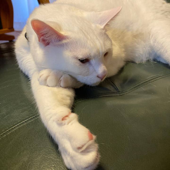 Dd130a12 1ad0 4e28 8dca 26d436beb612 1650705188556