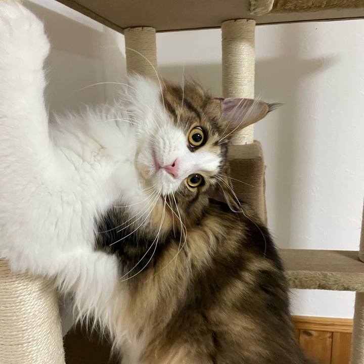 Dd134f4f 1342 40c5 b047 3bfae55af1a3 1640466153201