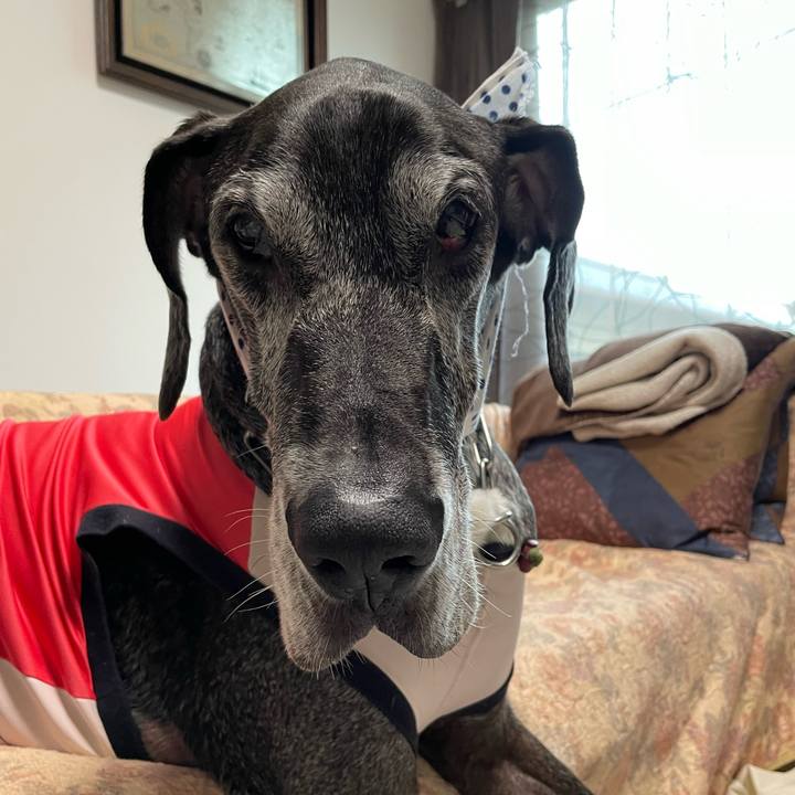 Dd1356b0 d1d5 4aec a7ba 0ad14e6aa93d 1656973488265