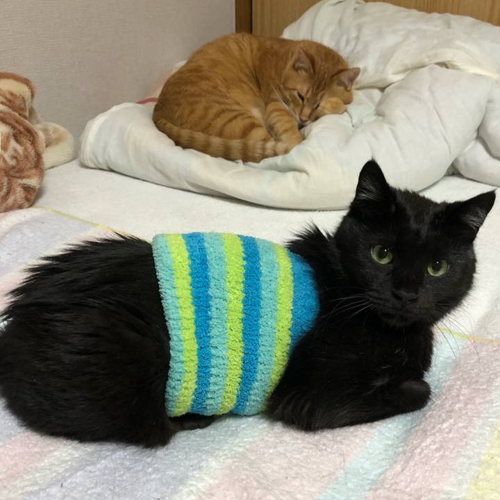 Dd137967 2c9c 4ef3 8472 41ece9c7c3e2 1587213162849