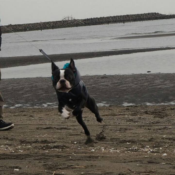 Dd13f123 495f 48be bdd1 5ce2c7b9c803 1517651378713