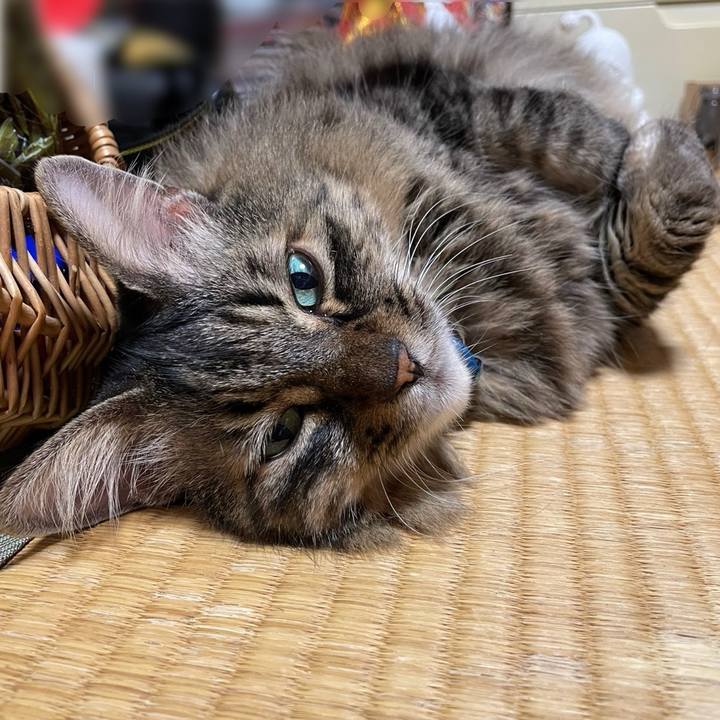 Dd1411f2 1eb3 4948 ba49 4e8654f3a8e0 1758545662480