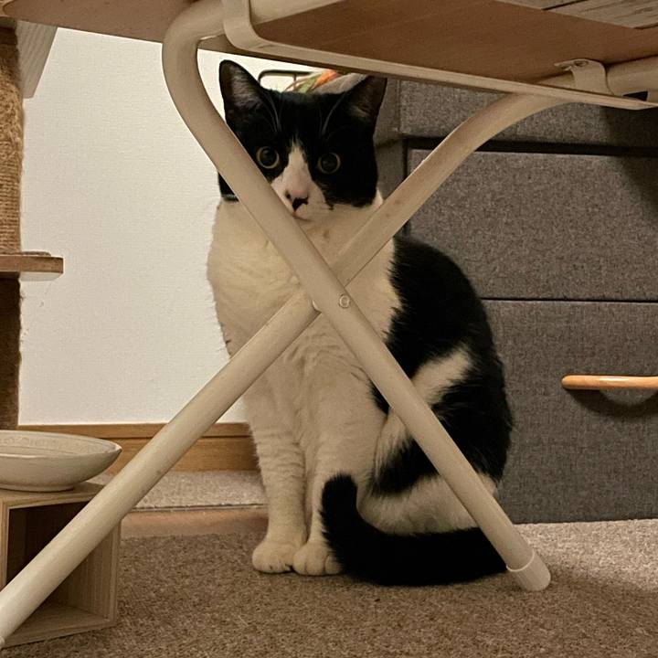 Dd1436f7 fb0e 4cbb 8f44 8076ccabd6a0 1707667594036