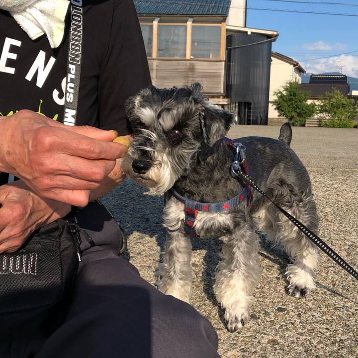 Dd145232 8f64 4230 af46 0bcefdc8281d 1653741240403