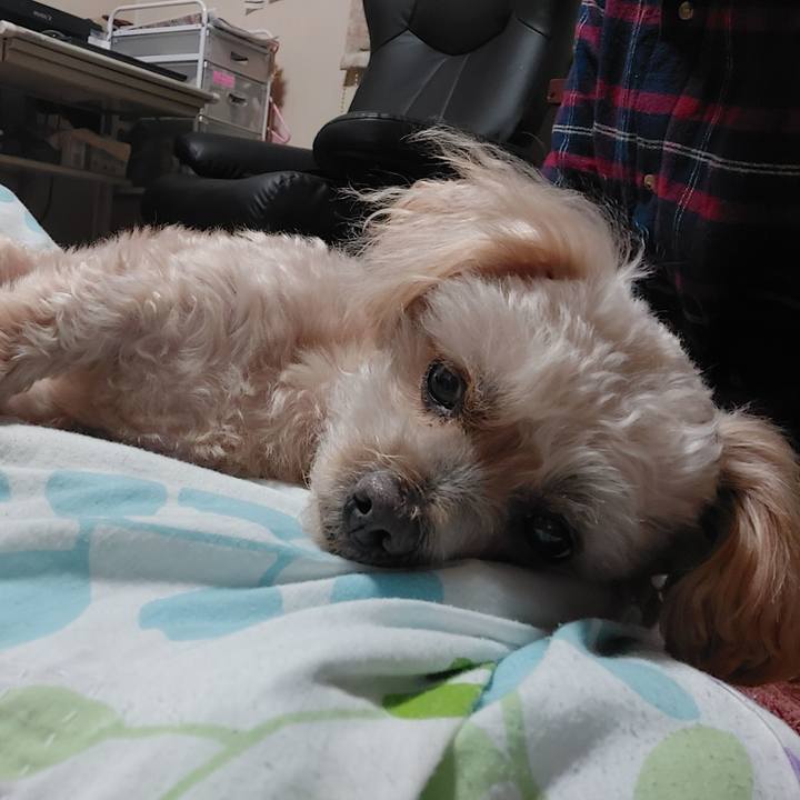 Dd145f63 9dac 4265 b52c 92922c4b8a1d 1675569116775