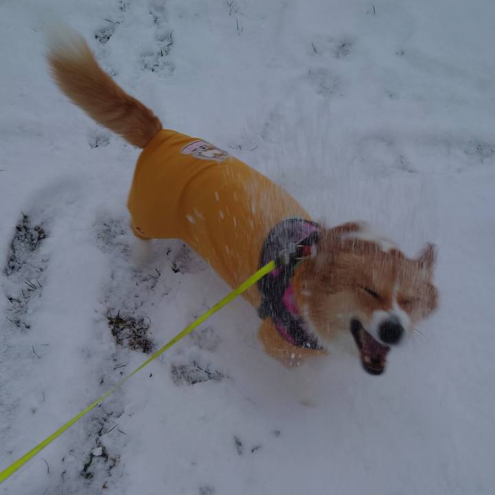 Dd14ffb2 96a6 4711 abf8 da5cb22a7782 1764891063455