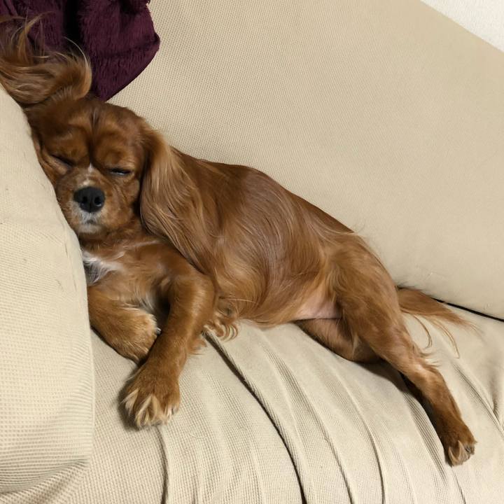 Dd152eca 734d 41cc 81fa 1a85a4d30710 1574339621923