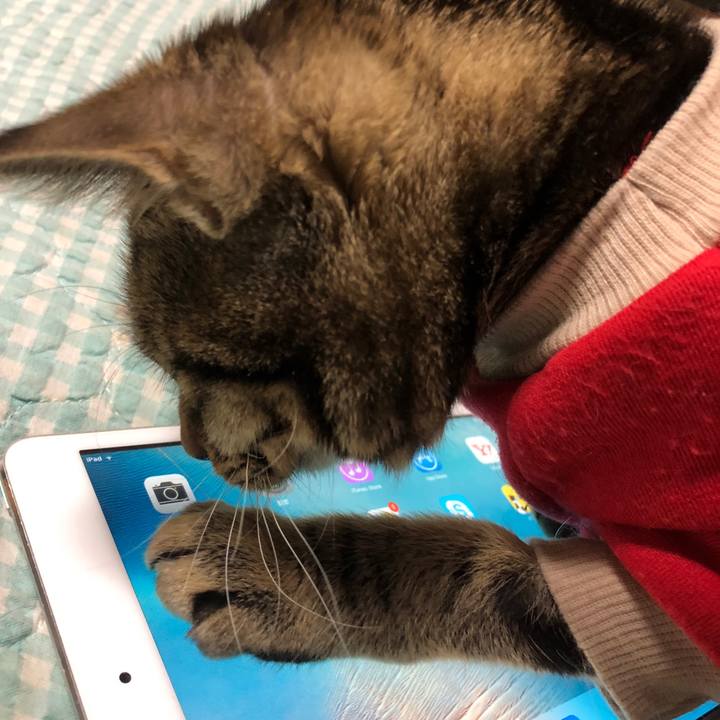 Dd15651c 5797 4c1b b38a 99e5acb19693 1738237086718