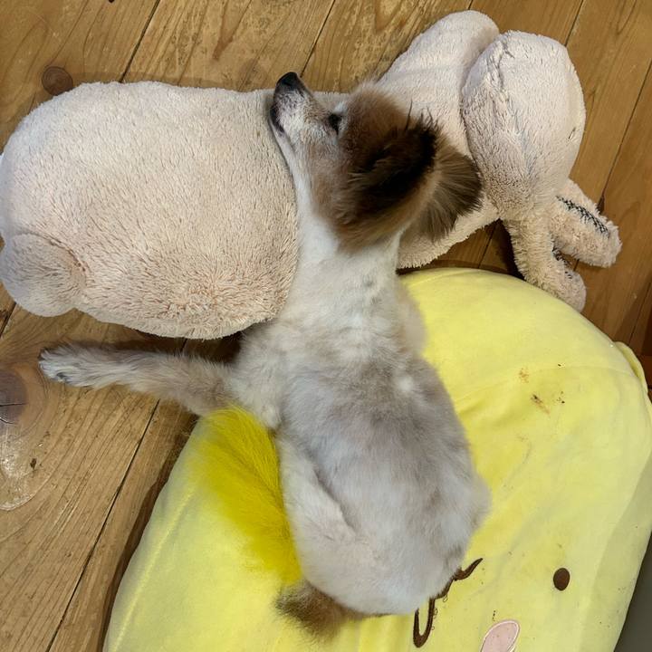 Dd15ddd4 d584 4fb9 bf1a 31acf82c8555 1757418422609