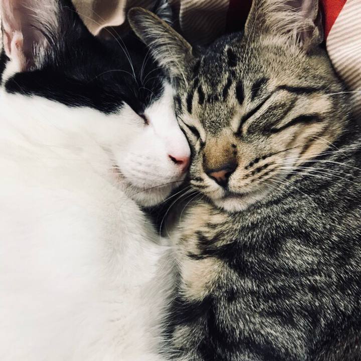 Dd15fc9d 740c 4b94 b114 5b613ae7867c 1514208161379