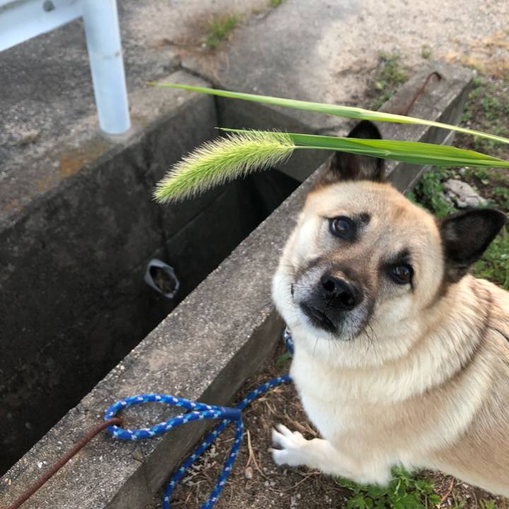 Dd160fa8 3572 4afb 9923 38541a4e60dd 1628079324501