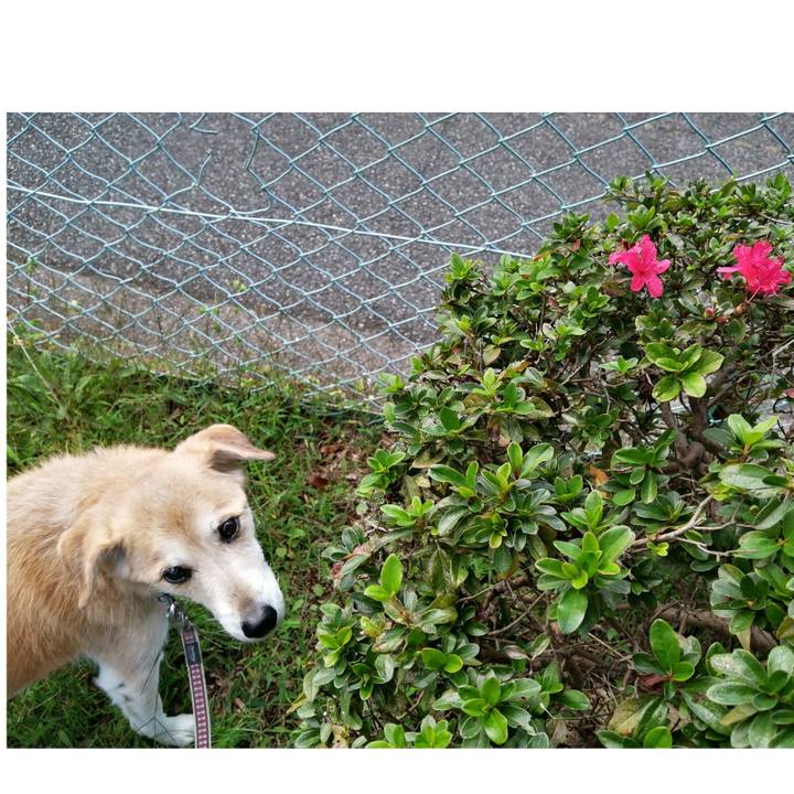 Dd16245f a943 4333 a620 e74c83bf4931 1603702533836