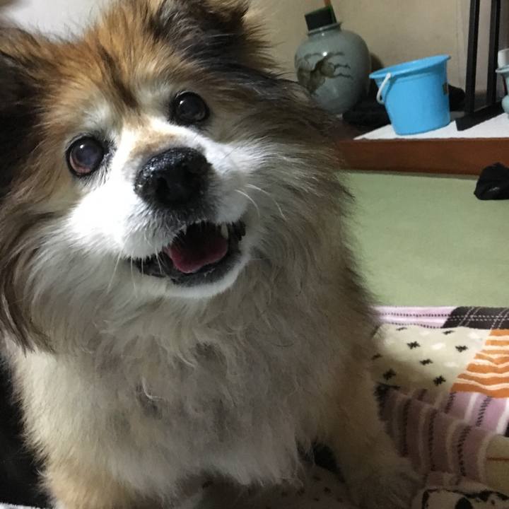 Dd16605d 7083 447a ad05 b758a3062547 1609729319884