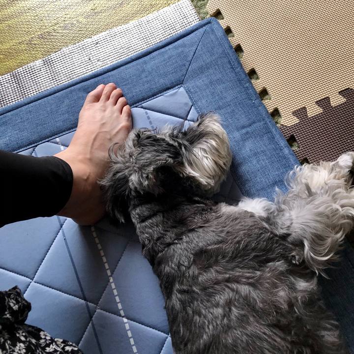 Dd1689ea 3da7 4d4a 958a 793dc15aa06c 1663553983560